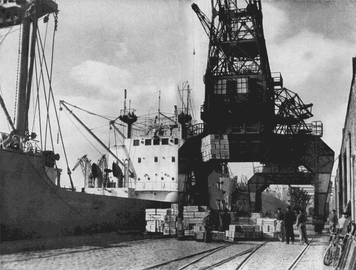 Dchargement de navire sur le port de Rouen en 1955