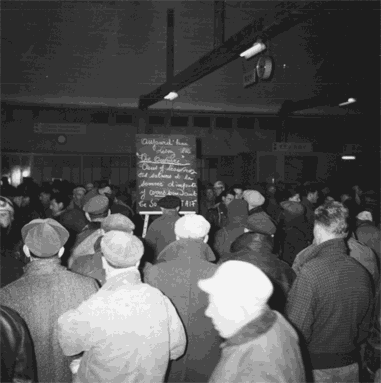 information syndicale